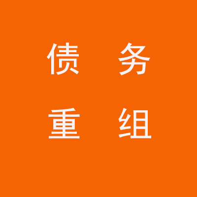 和平镇个人债务重组优化